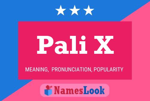 Pali X 名字海报