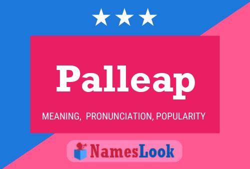 Palleap 名字海报