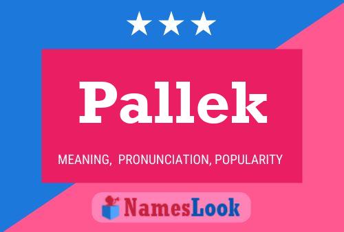 Pallek 名字海报