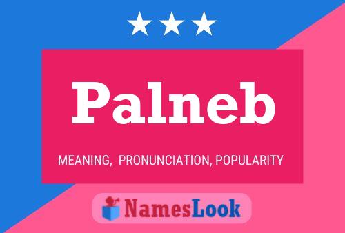 Palneb 名字海报