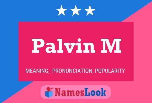 Palvin M 名字海报