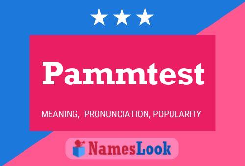 Pammtest 名字海报