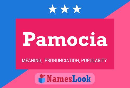 Pamocia 名字海报