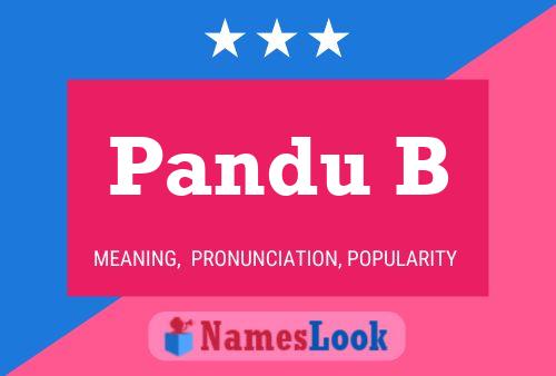 Pandu B 名字海报