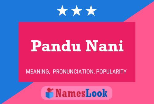 Pandu Nani 名字海报