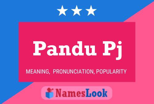 Pandu Pj 名字海报