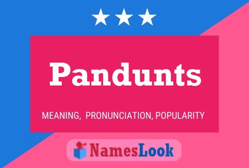 Pandunts 名字海报