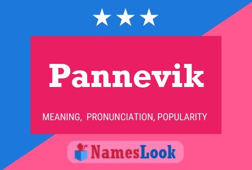 Pannevik 名字海报