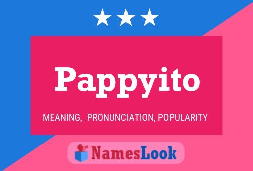 Pappyito 名字海报