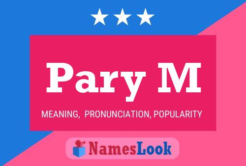 Pary M 名字海报