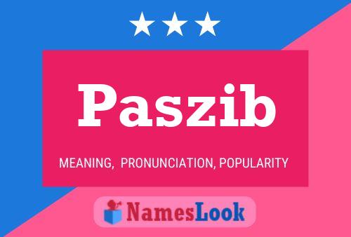 Paszib 名字海报