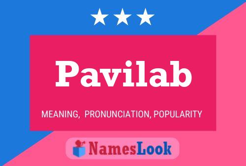 Pavilab 名字海报