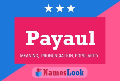 Payaul 名字海报