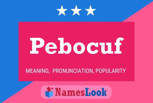 Pebocuf 名字海报