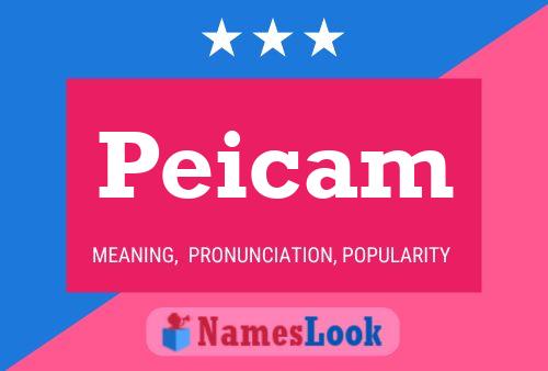 Peicam 名字海报