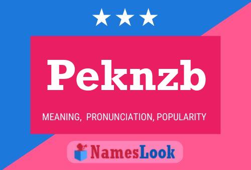 Peknzb 名字海报