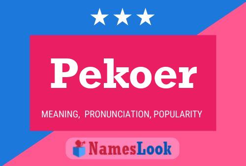 Pekoer 名字海报