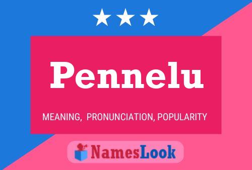 Pennelu 名字海报