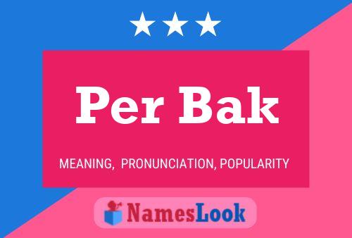 Per Bak 名字海报