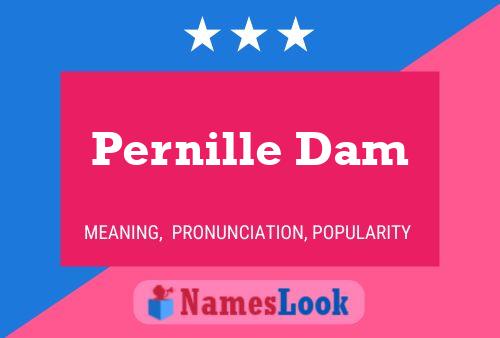 Pernille Dam 名字海报