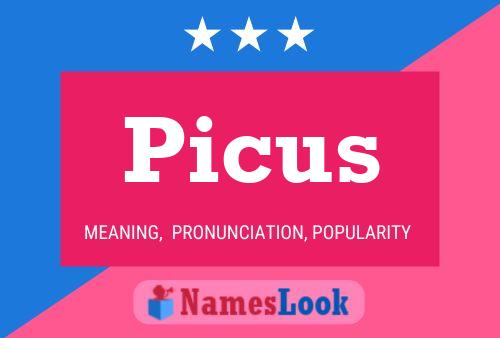 Picus 名字海报