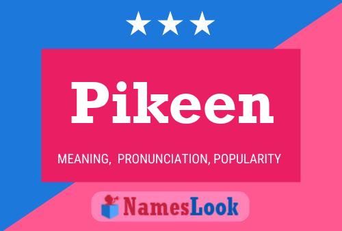 Pikeen 名字海报