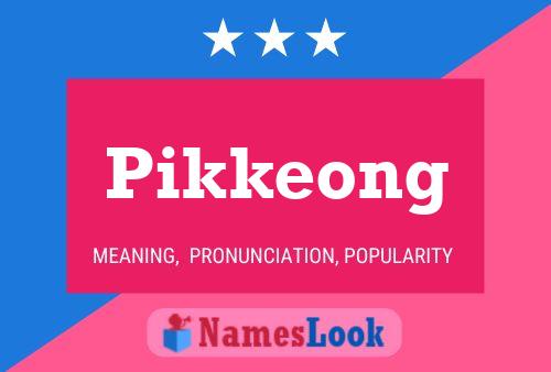 Pikkeong 名字海报