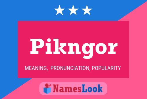 Pikngor 名字海报