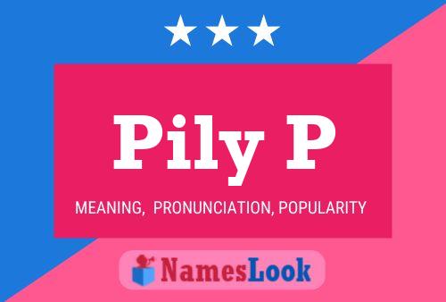 Pily P 名字海报