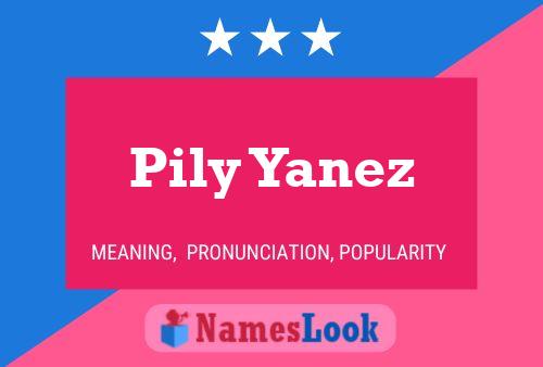 Pily Yanez 名字海报