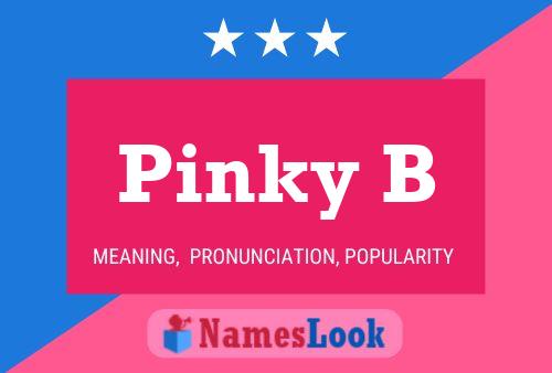 Pinky B 名字海报