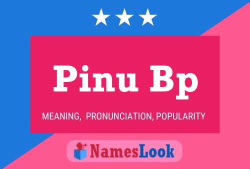 Pinu Bp 名字海报