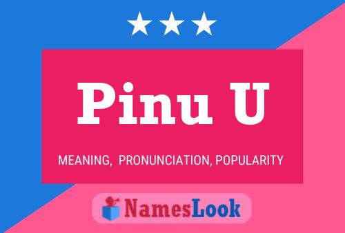 Pinu U 名字海报