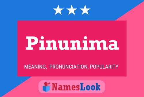 Pinunima 名字海报