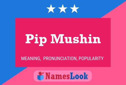 Pip Mushin 名字海报