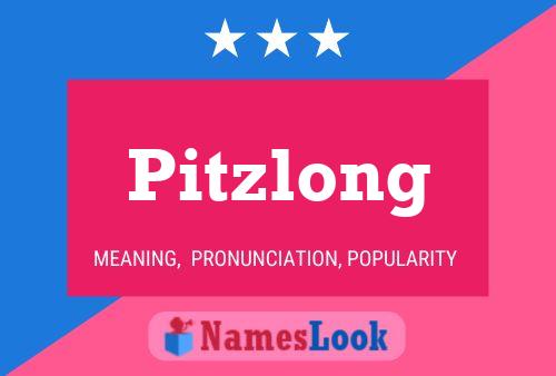 Pitzlong 名字海报