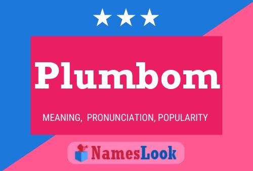 Plumbom 名字海报