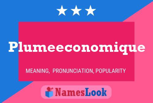 Plumeeconomique 名字海报