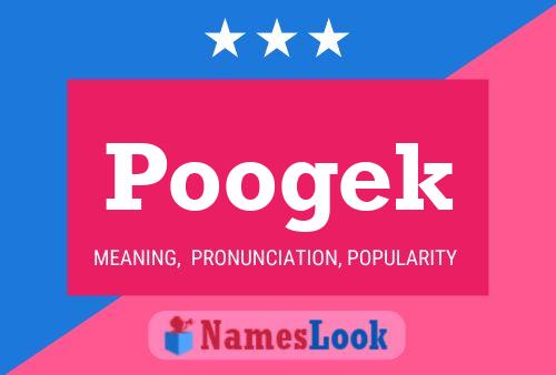 Poogek 名字海报