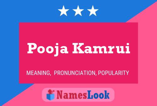 Pooja Kamrui 名字海报