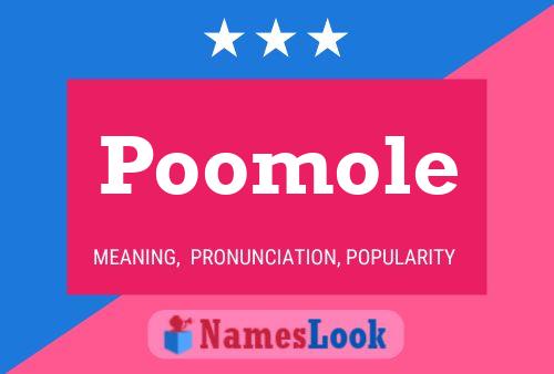 Poomole 名字海报