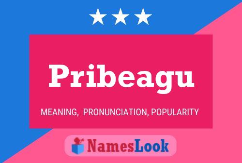 Pribeagu 名字海报