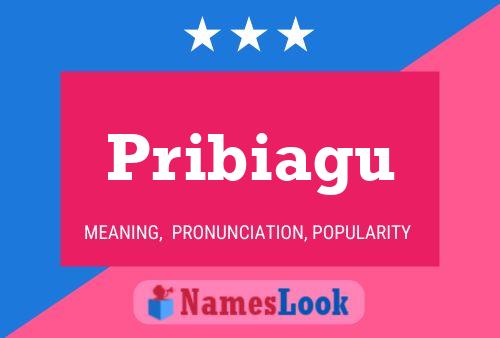 Pribiagu 名字海报