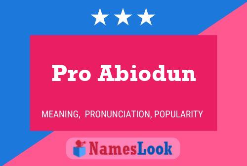 Pro Abiodun 名字海报