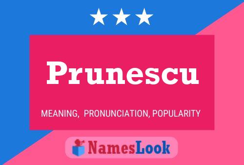 Prunescu 名字海报