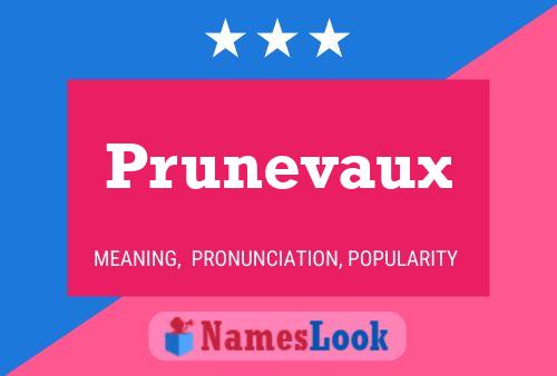 Prunevaux 名字海报