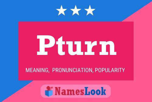 Pturn 名字海报