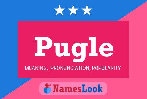 Pugle 名字海报