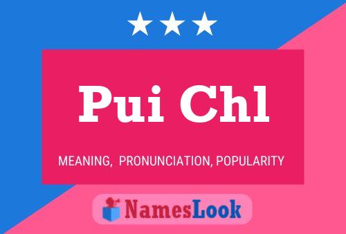 Pui Chl 名字海报