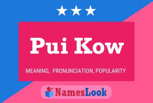 Pui Kow 名字海报